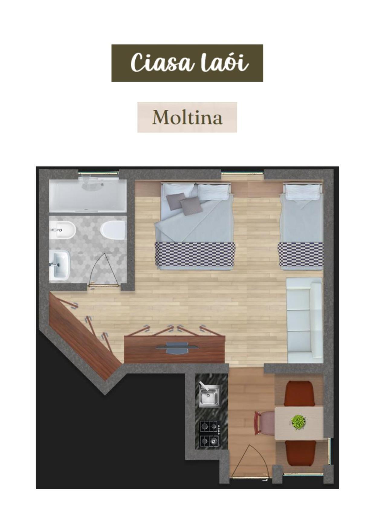 Apartment Ciasa Laoi 산카시아노 외부 사진